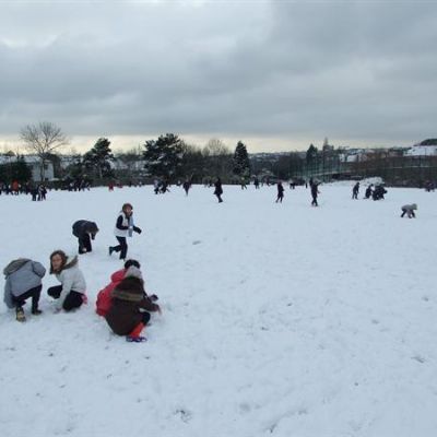 SF_field_snow_pic_002.jpg